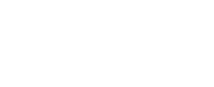 Direct Sales Incentives